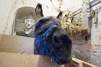 Bene paskutinis asiliuko Valentino apsilankymas Bernardinų bažnyčioje 2018 m. Bene paskutinis asiliuko Valentino apsilankymas Bernardinų bažnyčioje 2018 m.
