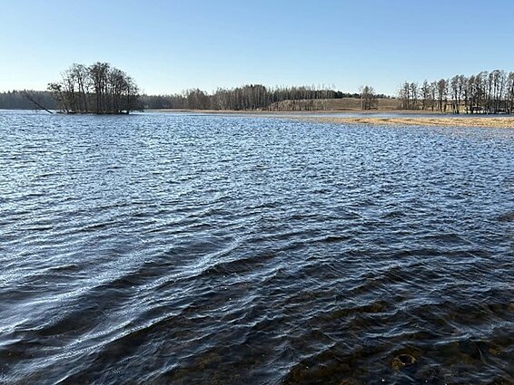 Bridvaišio ežeras ir Varnų sala