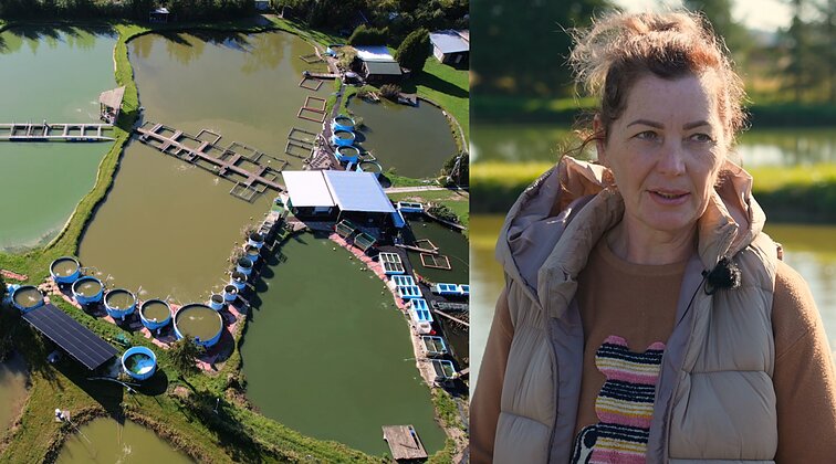Žuvų karalystę valdanti ūkininkė Ingrida: sveikinuosi su jomis kiekvieną rytą