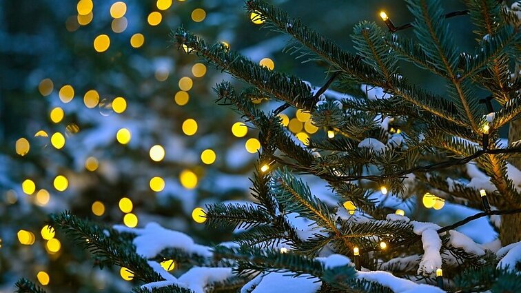 Apsieita pigiai, bet su netikėtumais pasienyje: eglių įžiebimas 1997-1999 metais