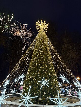 Švenčionys Christmas Tree