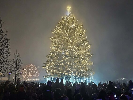 Molėtai Christmas Tree