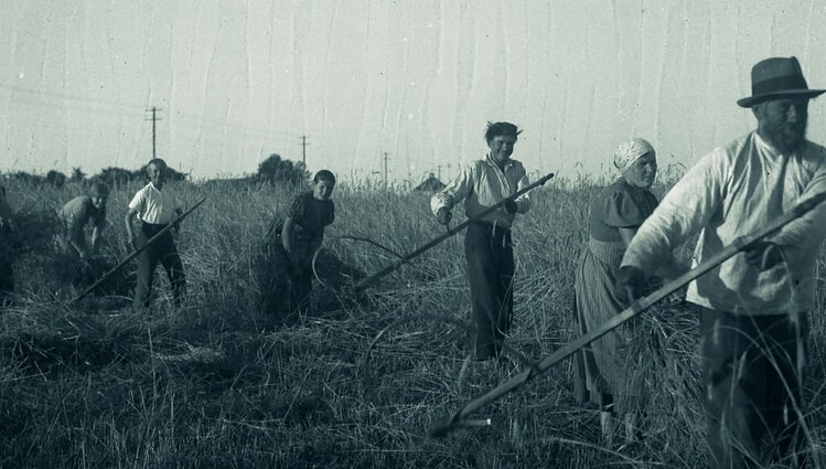 „Pirmiausia liūdino žemdirbius“: kaip Didžioji depresija paveikė Lietuvą?
