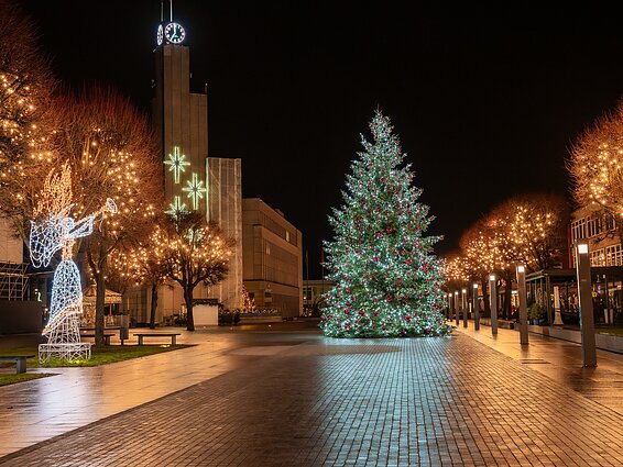 Alytus Christmas Tree