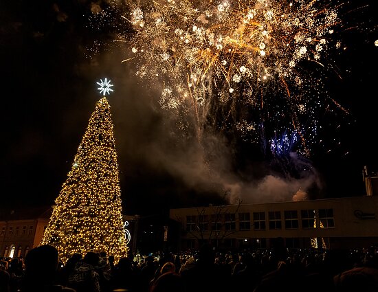 Ukmergė Christmas Tree