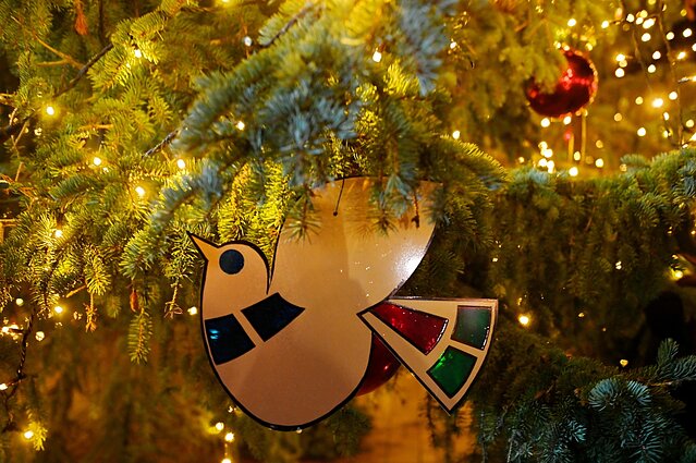 Pakruojjis Christmas Tree