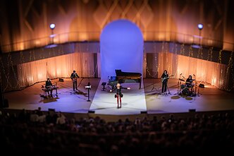 Ievos Narkutės koncerto akimirka