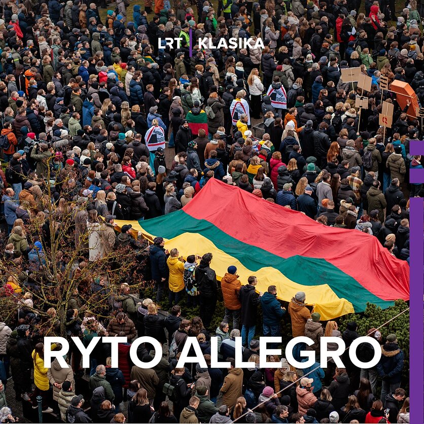 J. Stacevičiaus / LRT nuotr., Protestas „Šalin rankas“