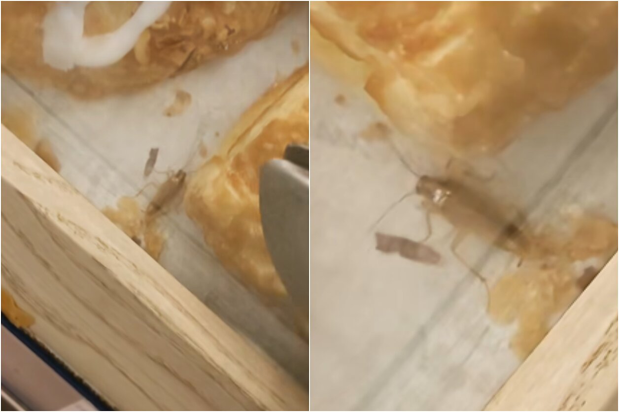 Tarakonas „Maximoje“ 