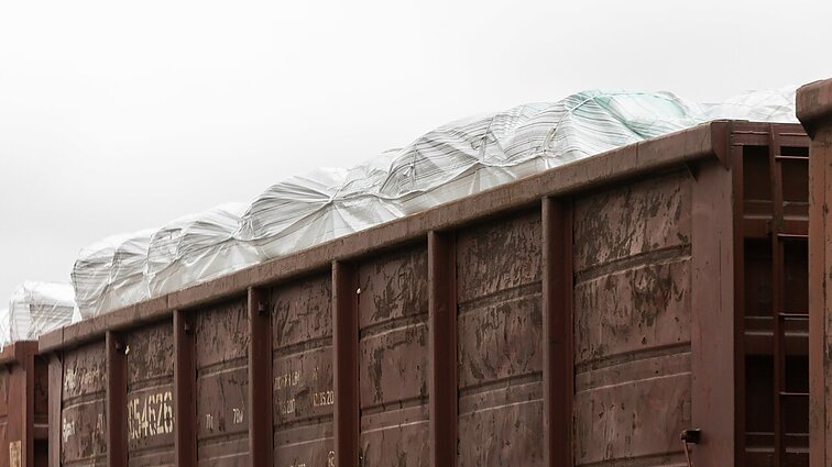 Profesorė apie JAV derybas su Baltarusija: įgalina derėtis ir kitus autoritarinius režimus