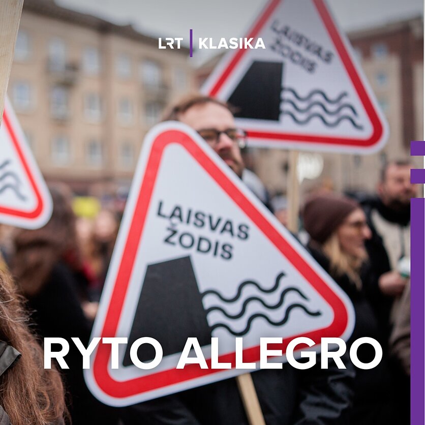 J. Stacevičiaus / LRT nuotr., Protestas „Šalin rankas“
