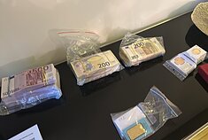Įtarimai dėl 1,5 mln. eurų kyšių pareikšti Augalininkystės tarnybos vadovams, darbuotojams. STT atliko kratas