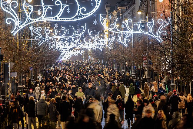 Vilnius Christmas tree lighting ceremony