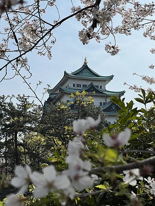 Ksenijos Miloš kelionių akimirka. Japonija Ksenijos Miloš kelionių akimirka. Japonija