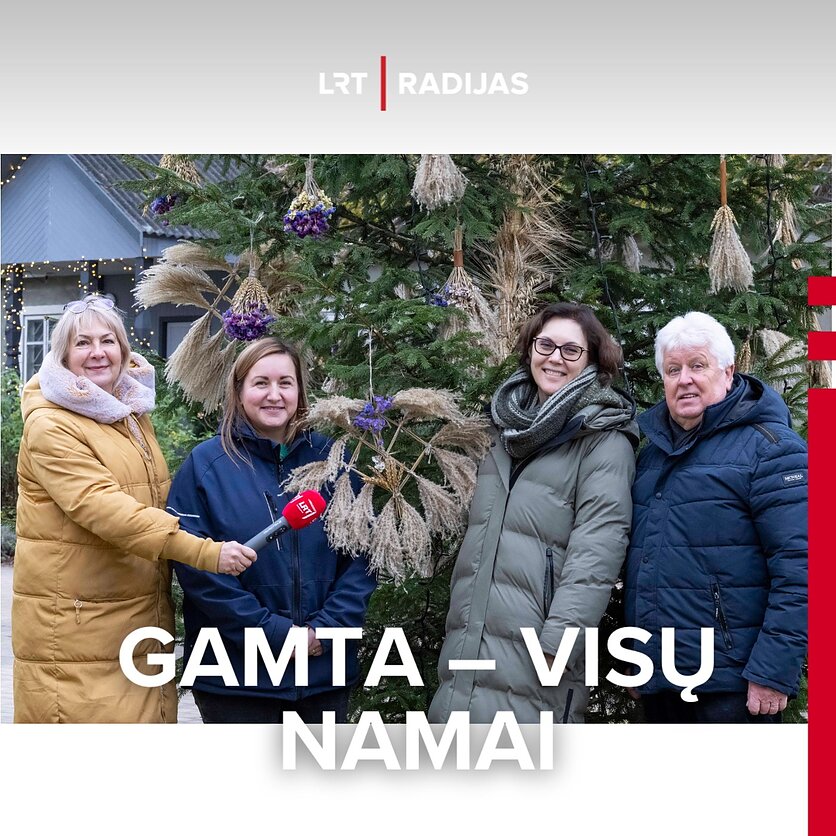 S.Paltanavičius, Prie eglutės VU botanikos sode - Alvyda Bajarūnaitė, Sandra Gataveckienė, Aida Dobkevičiūtė, Selemonas Paltanavičius