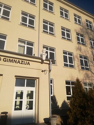 Keli Dmitrijaus kolekcijos egzemplioriai Keli Dmitrijaus kolekcijos egzemplioriai