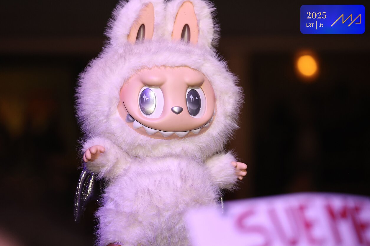Minkštas žaislas „Labubu“