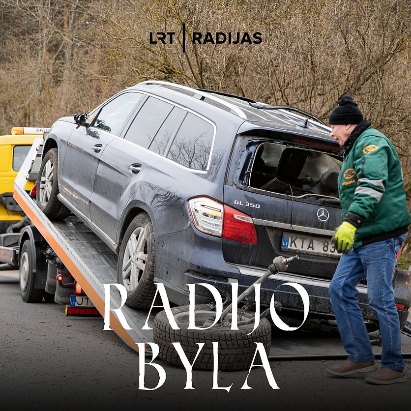 D. Umbraso / LRT nuotr., avarija