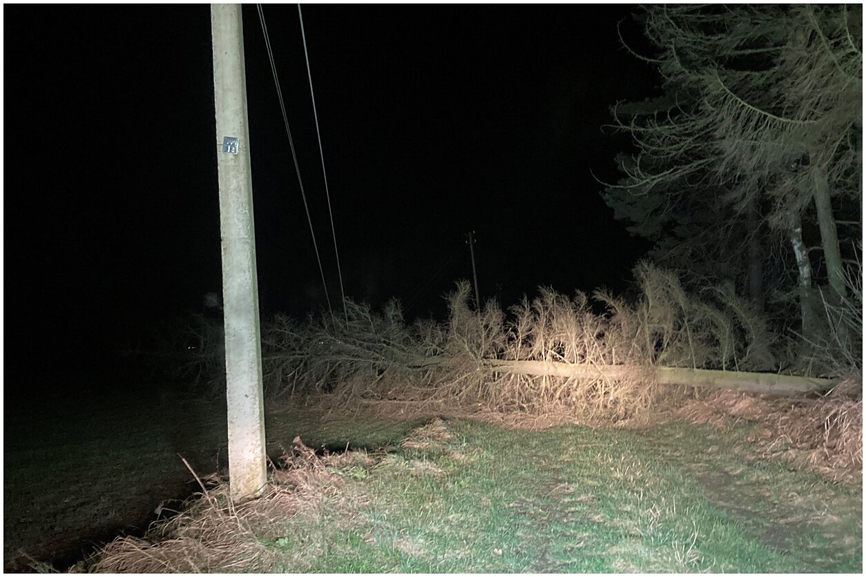 Naktį siautusi audra nesitrauks ir sekmadienį: be elektros – 7 tūkst., vėjas varto medžius