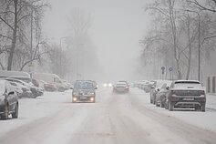 Sniegas ir pūga Vilniuje