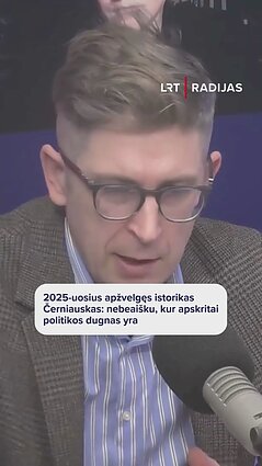 2025-uosius apžvelgęs istorikas: jau nebesuprantu, kas tas politinis profesionalumas