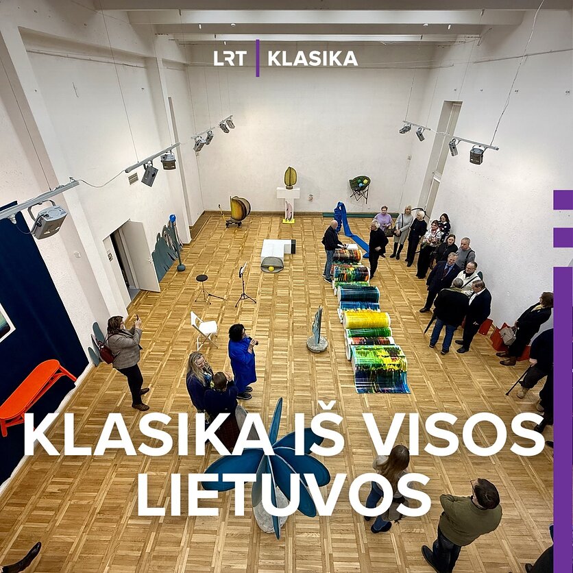 Tomo Mizgirdo nuotrauka., Šiaulių dailės galerija.