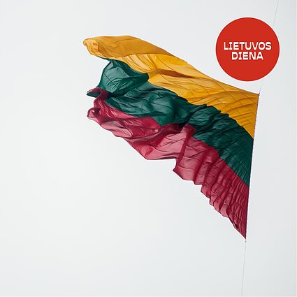 Kokie 2025-ieji buvo Lietuvos politikoje?