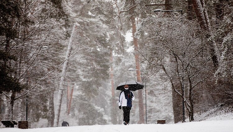 Nori būti arčiau gamtos: dalis žmonių Naujuosius sutinka atokiose sodybose