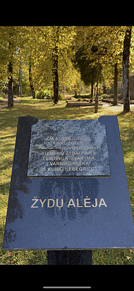 Geležinkelio miestas ir nutylėta tragedija: kaip Rūdiškėse atgaivinama žydų istorija