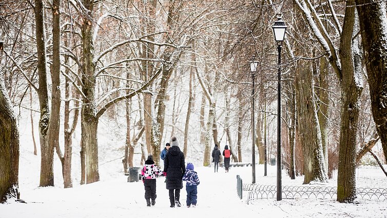 Gimstamumo krizė Lietuvoje: per 10-metį sumažėjo trečdaliu, mirtingumas dvigubai didesnis