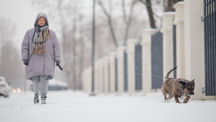 Gausus sniegas džiugina gyventojus, bet eismo sąlygos išlieka sudėtingos visoje šalyje