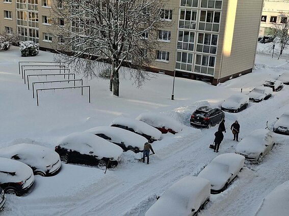Snow in Plungė
