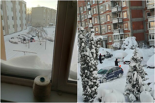 Itin gausiai prisnigta Plungėje