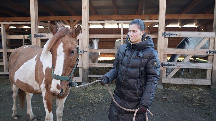Дар'я Шляхова доглядає за кобилою Філадельфія Дар'я Шляхова доглядає за кобилою Філадельфія