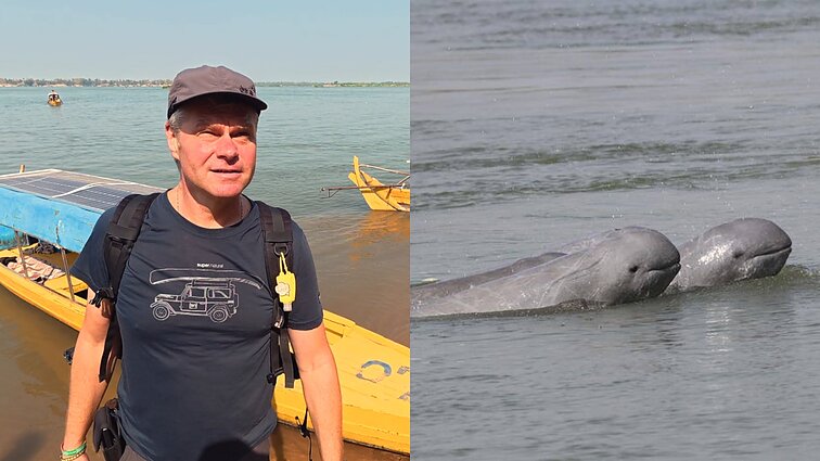 Upėje delfinus stebėję Sutkai: galbūt gyvenime daugiau nieko panašaus nepamatysim
