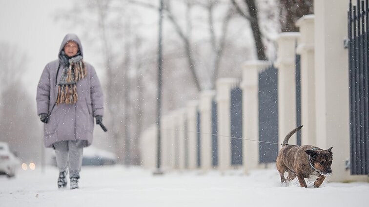 Žiema trauktis neplanuoja: naktimis temperatūra gali kristi žemiau 20 laipsnių šalčio