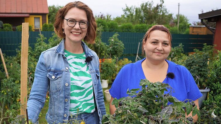 „Pamatę galvoja, kad netikri“: alytiškė parodė, kaip užsiauginti pomidorus vazonuose