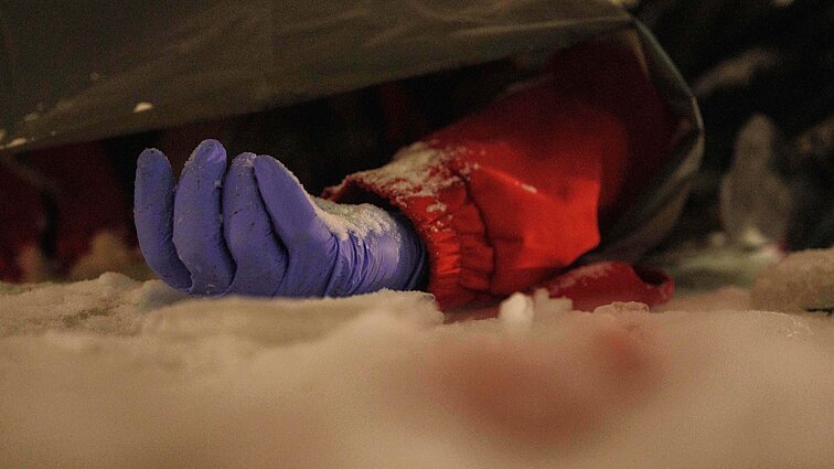 Česnakas apie smūgį Ukrainai „Orešnik“ raketa: parodo, kad visos Vakarų kalbos – tuščios