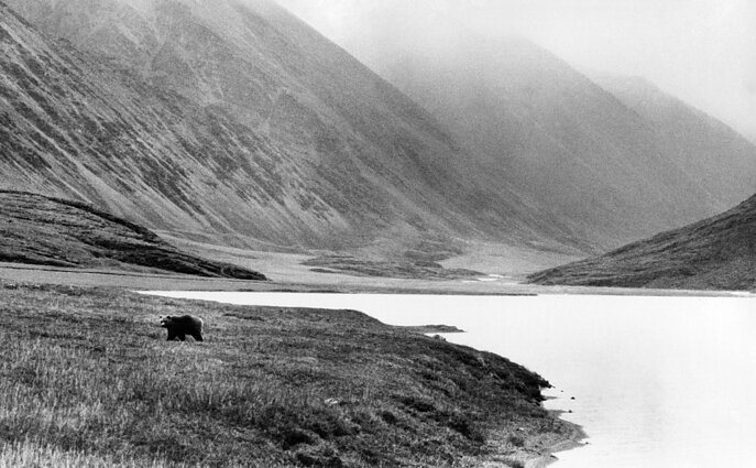 „Suprasti Arktį“ – kas, kur ir kodėl?