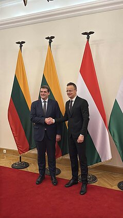 Remigijus Žemaitaitis met with Péter Szijjártó 