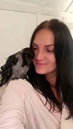 Agnė Ščiučkienė ir jos varnos Agnė Ščiučkienė ir jos varnos