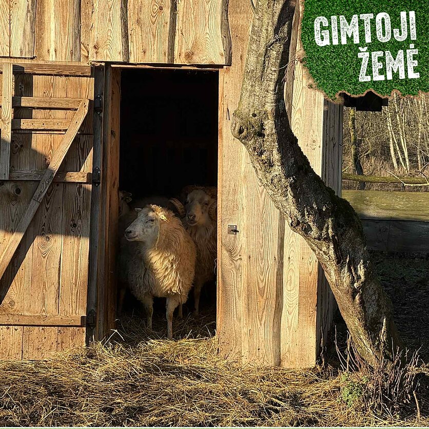 Ganymas gali būti naudingas ir pačiai gamtai