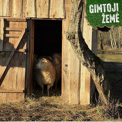 Ganymas gali būti naudingas ir pačiai gamtai