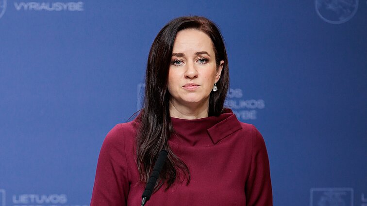 Apie Žemaitaičio vizitą Vengrijoje pasisakiusi Ruginienė: atrodo labai keistai