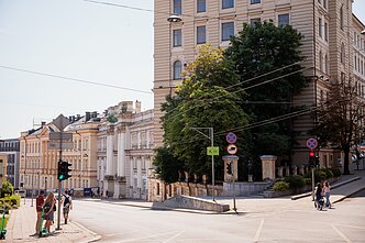 Medžiai J. Basanavičiaus gatvėje