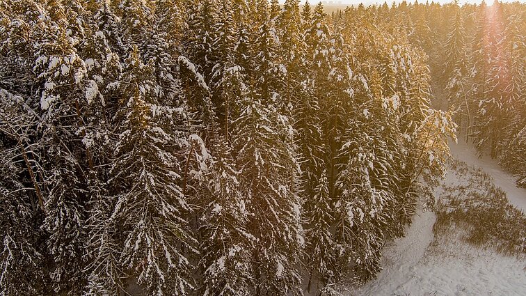 Laukia ramios orų permainos: šaltis kandžiosis, bet džiugins šviesios dienos be kritulių