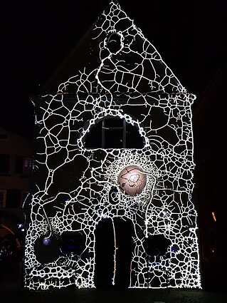 „Physarum“ Brikseno šviesos festivalyje