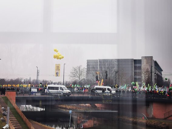 Strasbūre – ūkininkų protestas prieš laisvosios prekybos susitarimą su „Mercosur“ šalimis