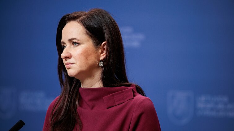 Ruginienė įvertino Žemaitaičio išpuolį: kaltos abi pusės – ir jis, ir protestuotojai