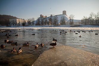 Winter in Vilnius Winter in Vilnius
